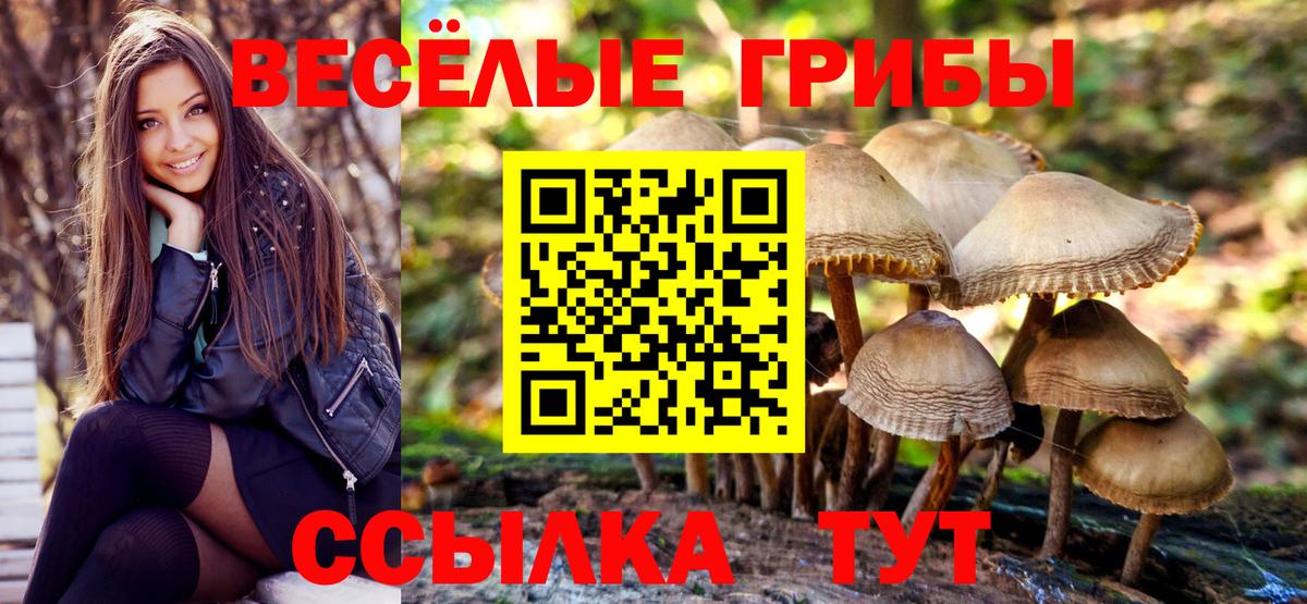 Псилоцибиновые грибы мицелий Волжск
