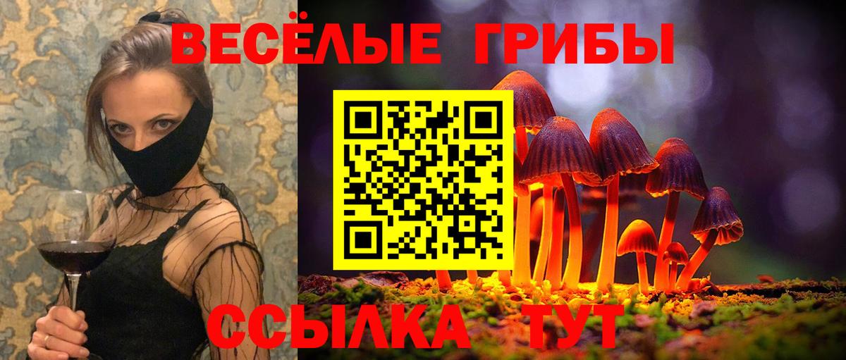 Волжск  Галлюциногенные грибы Cubensis  Вход с VPN 